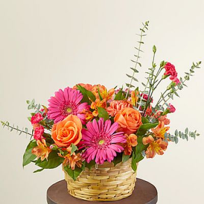 <h5>Celebrate spring with our Sweet Treat Bouquet that arrives in an adorable basket ready for the spotlight. Designed with hot pink gerbera daisies and mini carnations to brighten any room, occasion or event, it's the sweetest treat you could send to a loved one.</h5>